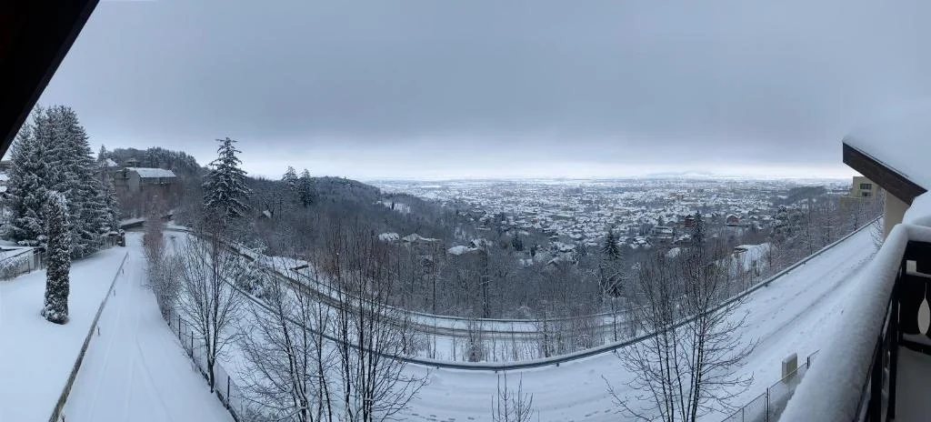 Balcon cu panoramă de iarnă