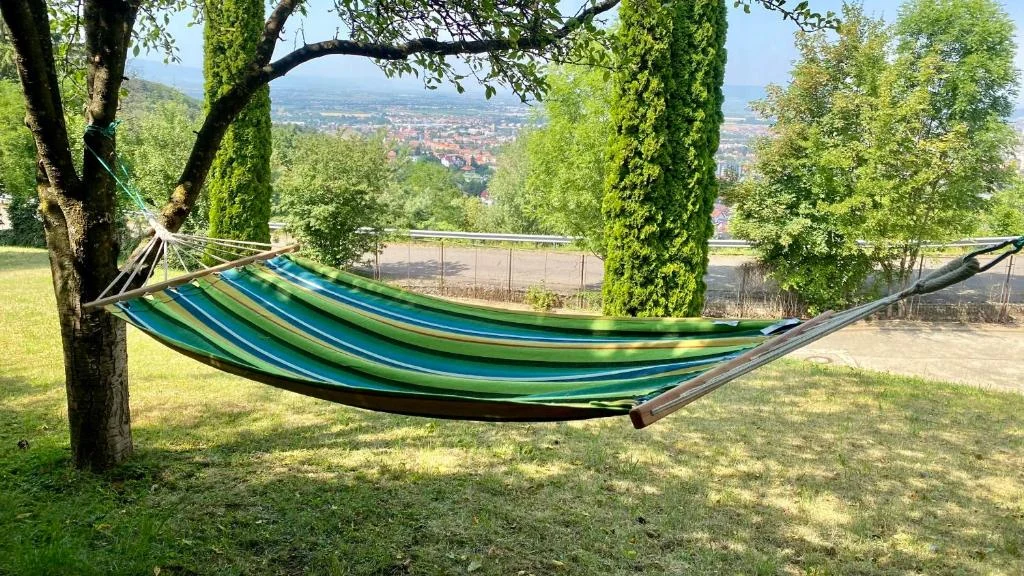 Hamac în grădină